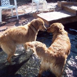 Meet your Posher, Shelly